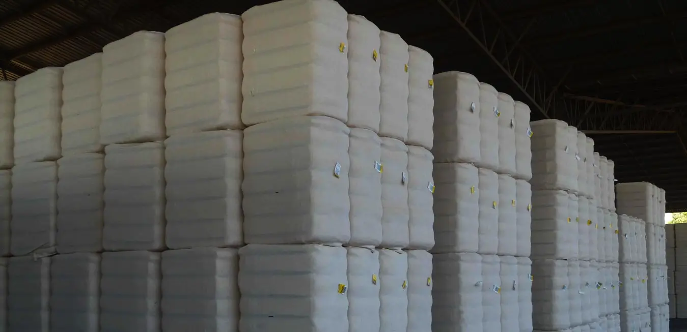 Cotton bales